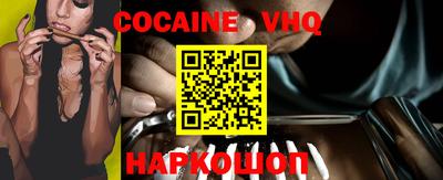 молекула духа Кингисепп