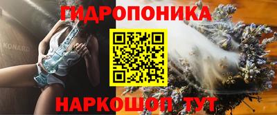 молекула духа Кингисепп