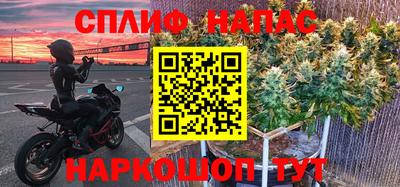 эйфоретик Кинель